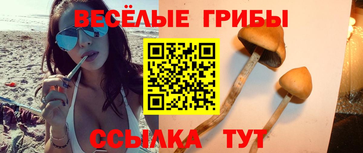 Иваново  Галлюциногенные грибы MAGIC MUSHROOMS  Вход с VPN 